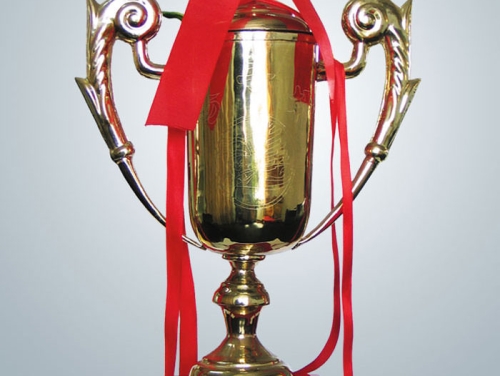 1998年獲江蘇省工程質(zhì)量揚子杯獎